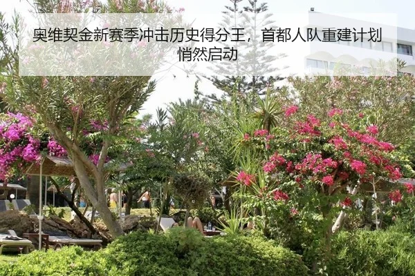 ao-wei-qi-jin-xin-sai-ji-chong-ji-li-shi-de-fen-wang-shou-du-ren-dui-chong-jian-ji-hua-qiao-ran-qi-dong-2-953.jpg